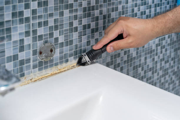 Best Mold Removal Near Me  in Plainville, KS